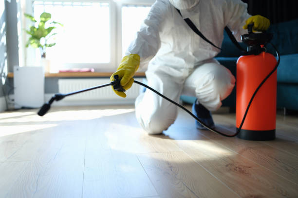 Reliable Odor Removal contractor in Runge, TX by Trauma Clean Pros